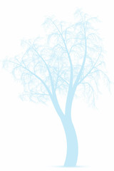 Obraz premium Winter tree