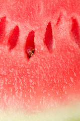 Watermelon background