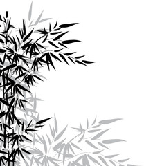 Bamboo leaves in black and white colors for design