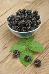 blackberries in bowl