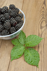 blackberries in bowl
