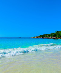 Tranquility Palms Summertime