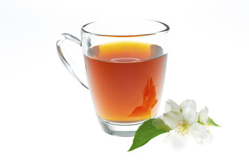 jasmine tea with jasmine flower