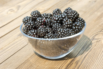 blackberries in bowl
