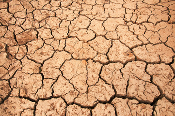Dry land