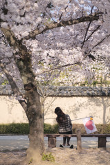 桜で休憩