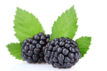 beautiful blackberries isolated on white