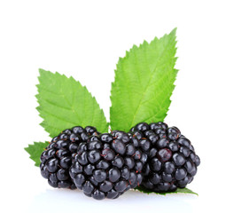 beautiful blackberries isolated on white