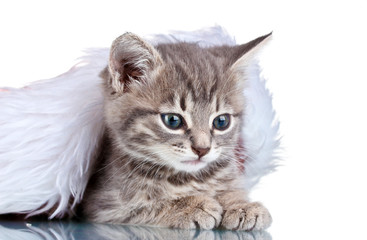Fototapeta premium Beautiful gray kitten and Christmas hat isolated on white