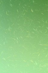 Green gradient Japanese paper texture.
