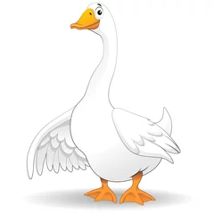 Cercles muraux Dessiner Goose Duck Cartoon-Goose Duck Cartoon-Vector