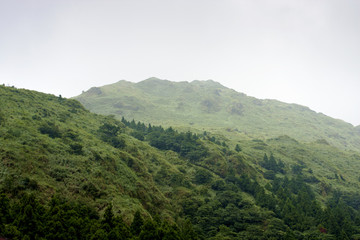 views of yangming mountain