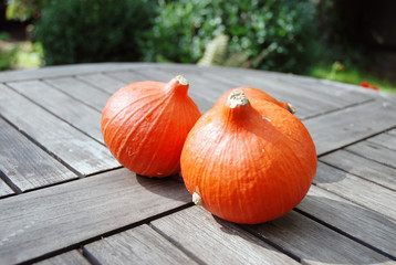 Gartentisch mit Kürbis