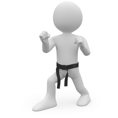 Karate man in combat position I
