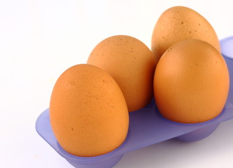 Eggs isolated on a white background