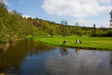 łąka nad rzeką © her_aro