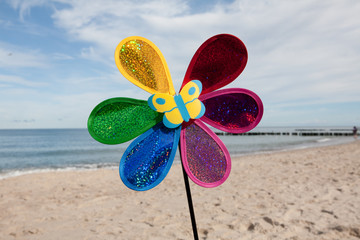 kwiat i plaża © her_aro