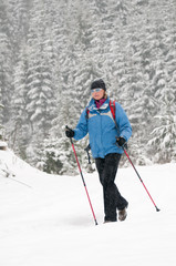 Fototapeta na wymiar Winter Nordic Walking