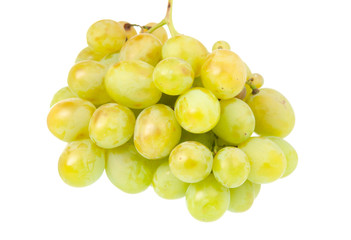 .bunch of grapes