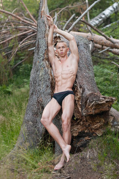 Model with with the tree