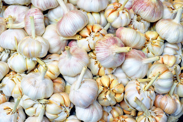 Xiamen _China street market garlic