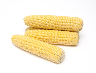 fresh corn on white background