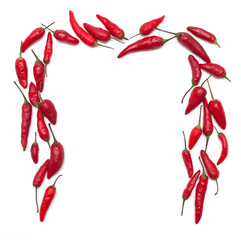 red hot chilli peppers frame