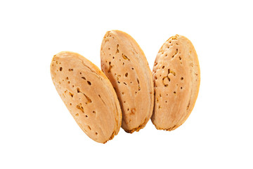 tree almonds