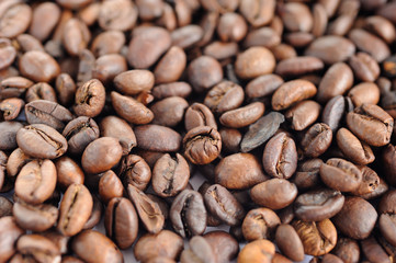Roasted coffee background