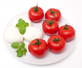 Fototapeta na wymiar tomatoes and mozzarella
