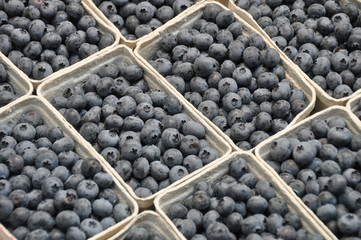 Blaubeeren