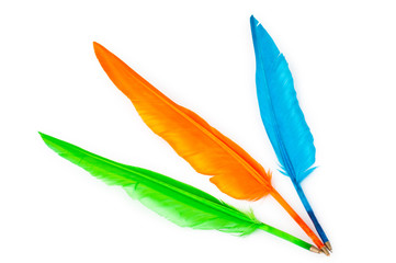 Writing feather isolated on the white background