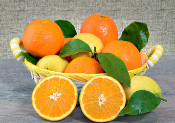 Cesto di arance e limoni