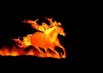 horse on fire isolated on black