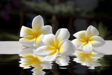 Soins Corporels et Esprit © PUNTOSTUDIOFOTO Lda