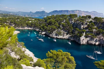 Foto op Canvas Calanques of Port Pin in Cassis © Samuel B.