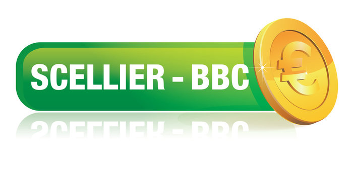 investissement locatif - scellier et BBC