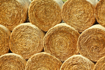 Naklejka premium Straw ball