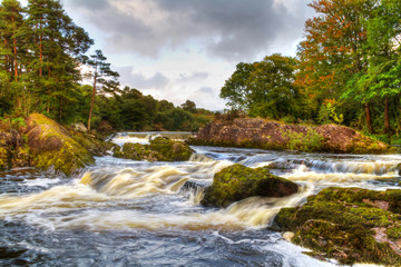 Fototapeta na wymiar Górski potok Jesień w Parku Narodowego Killarney, Irlandia
