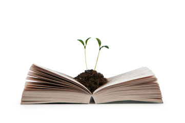 Knowledge concept with books and seedlings