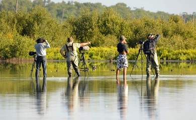 Group of photographers in water.