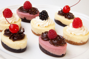 Petite Cheesecakes