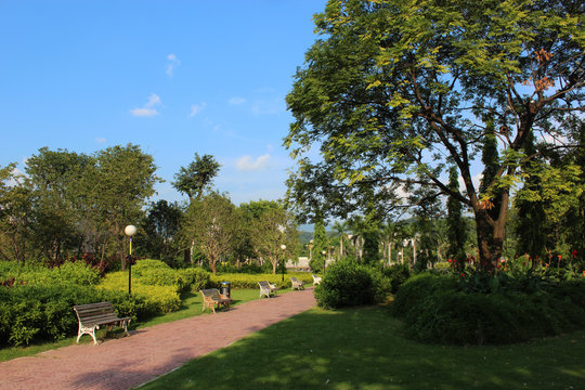 wooden park bench