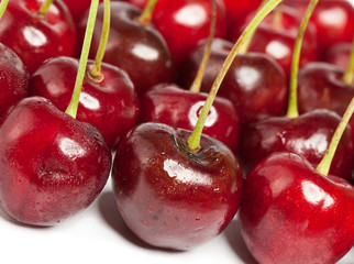 Sweet cherry