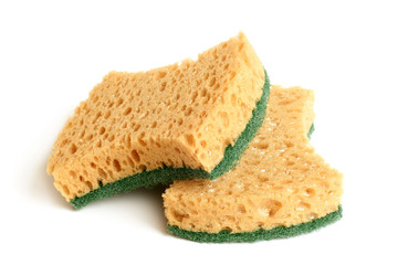 Yellow sponges