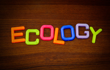 Ecology in colorful toy letters on wood background
