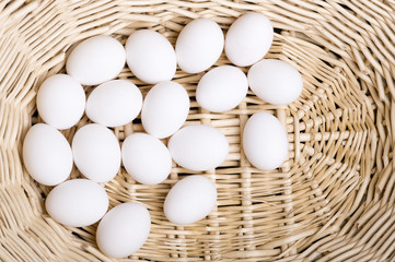 Eggs