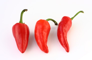 Red hot chilli peppers isolated on white background