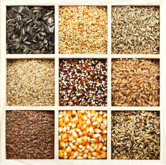 Sortiment von Getreide, Samen, Körnern