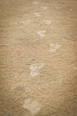 human footprints on the beach